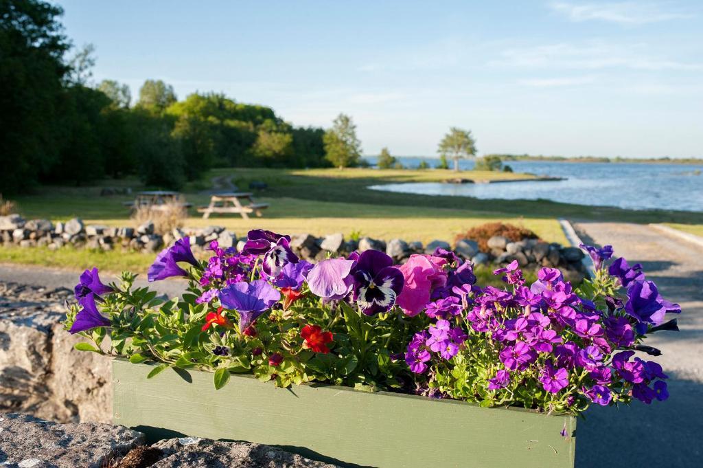 The Waterfront House Country Home Oughterard Exteriör bild